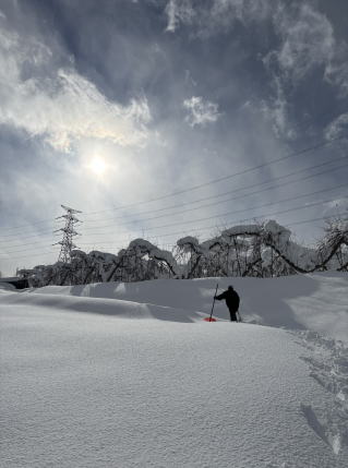 カンジキで山の畑に登って行く様子