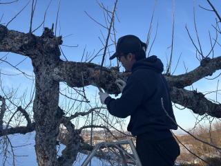 ���Ѝ��̗l�q